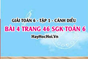 Giải bài 4 trang 46 Toán 6 Tập 1 SGK Cánh Diều